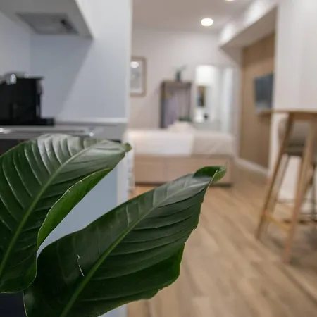 Apartment Cid Flats By Concept