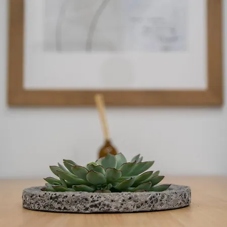 Apartment Cid Flats By Concept *