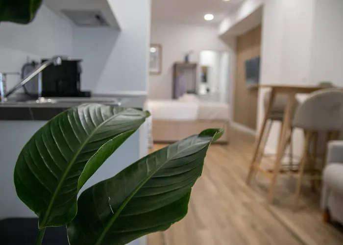 Appartement Cid Flats By Concept